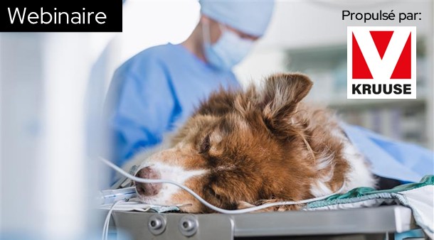 https://medias-cd.cdmv.com/media/00qordpi/campus-card_image_webinaireanesthesie_fr.jpg