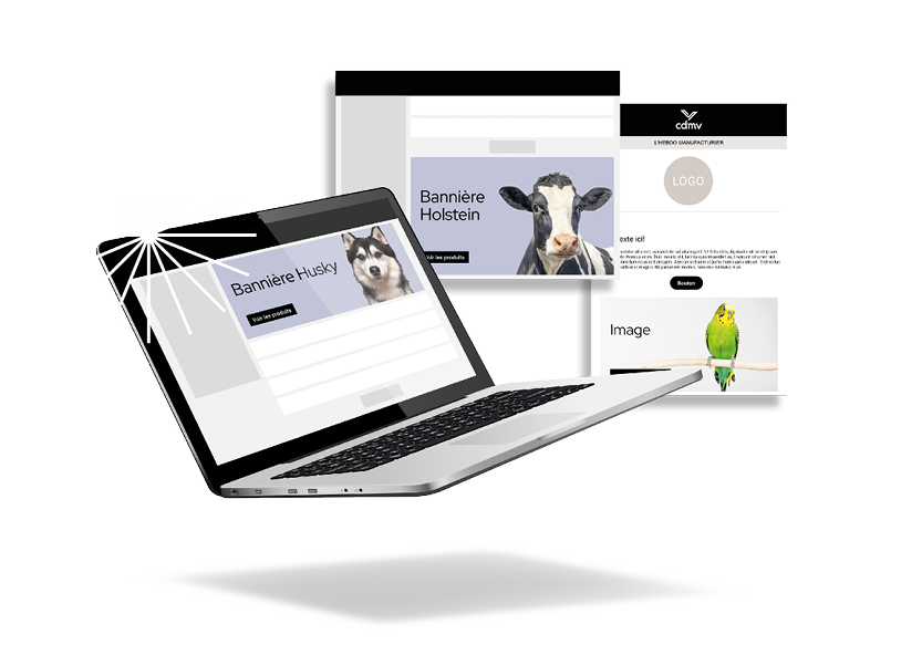 https://medias-cd.cdmv.com/media/0m0hnwtv/portail-accueil_outils-publicitaires-fr.png