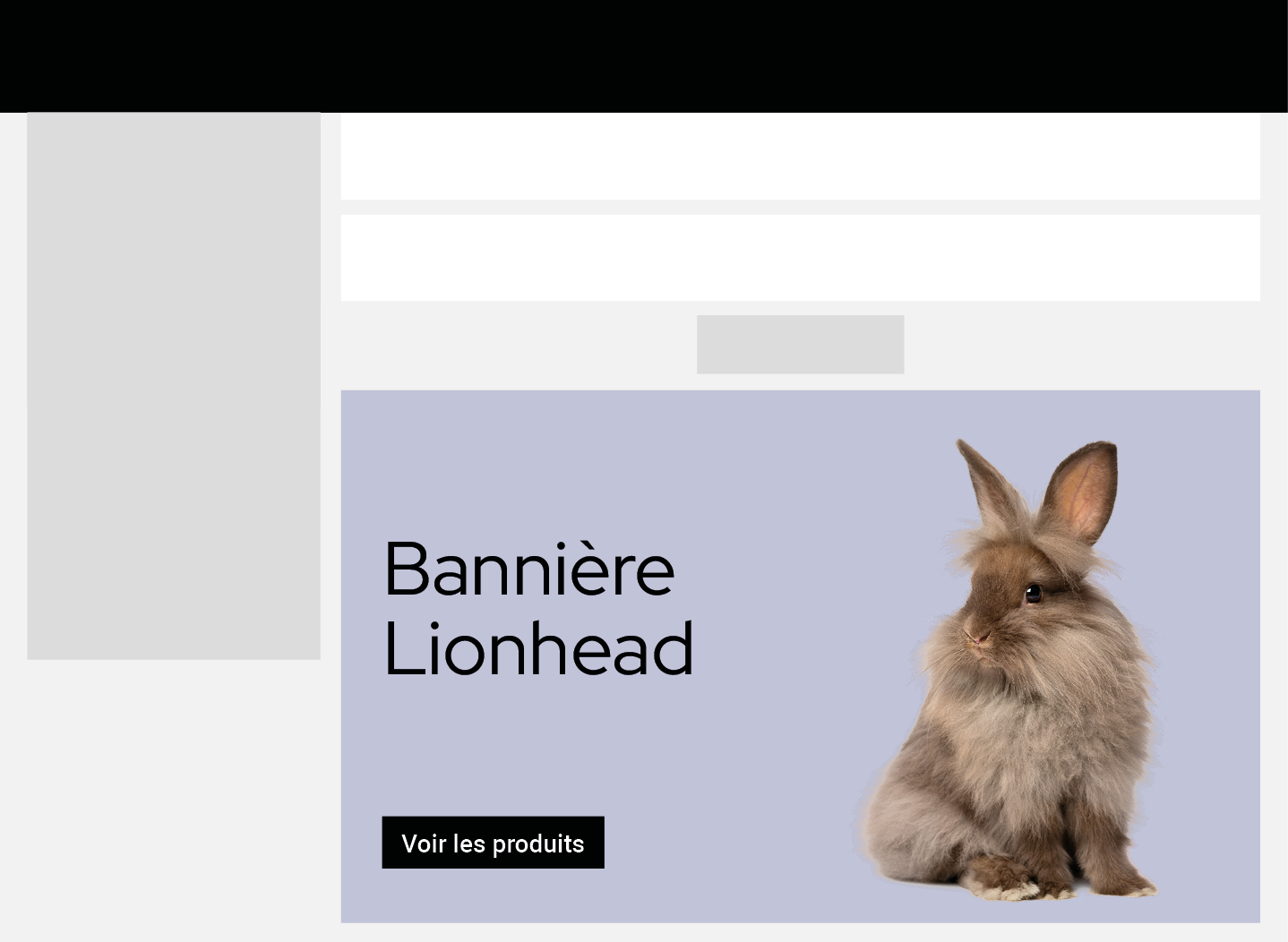 Bannière Lionhead  bas