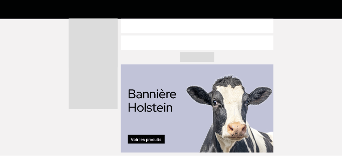 bannière holstein