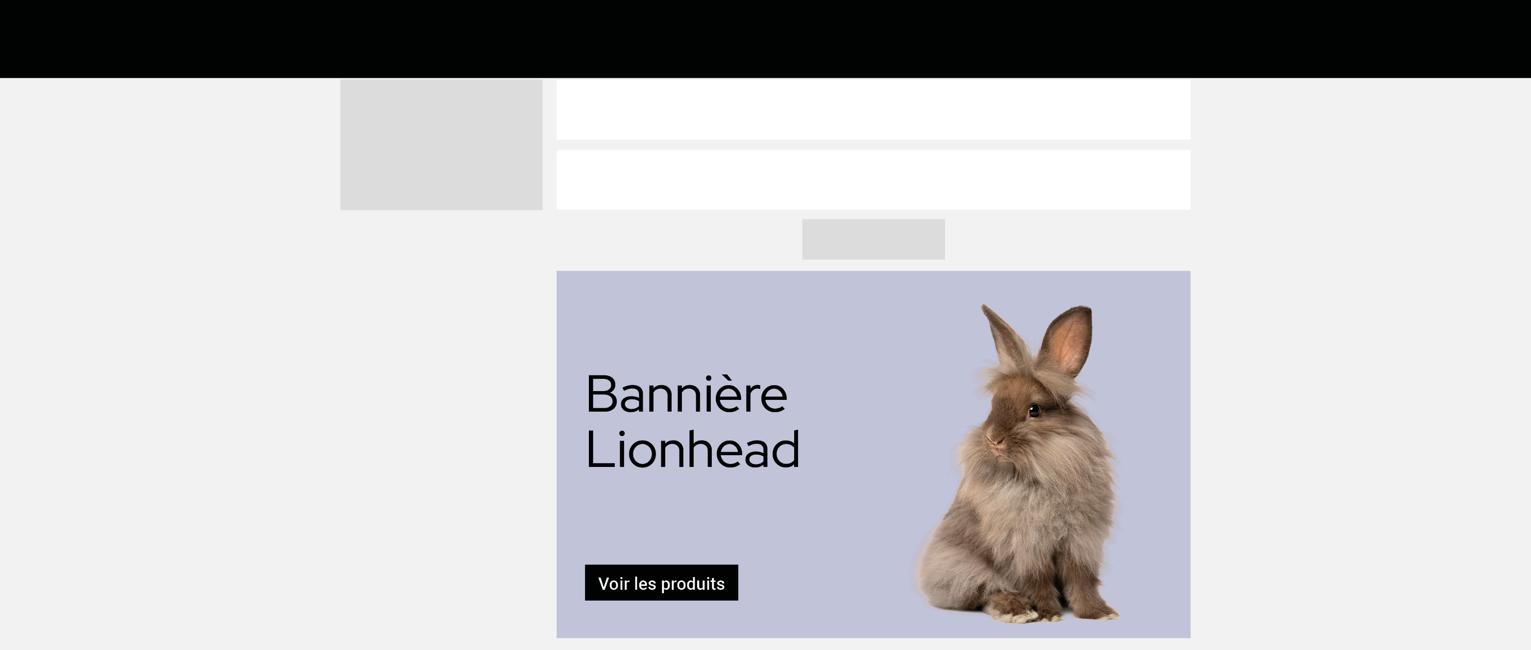 Bannière Lionhead bas  Page outil de recherche
