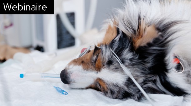 https://medias-cd.cdmv.com/media/alkj5xk3/campus-card_image-webinaire-anesthesie-fr.jpg