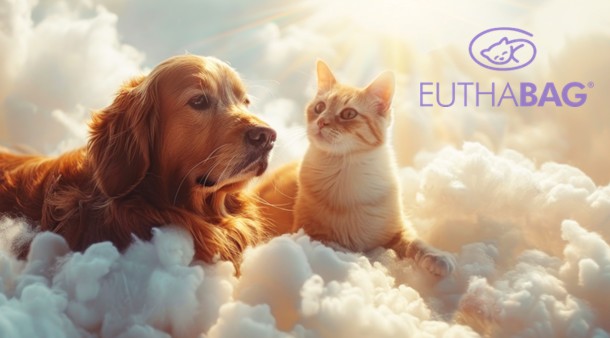 https://medias-cd.cdmv.com/media/c4dhhwc1/campus-card_image-euthabag2.jpg