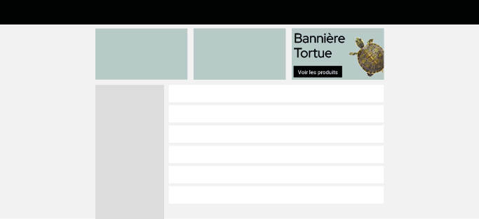 bannière tortue