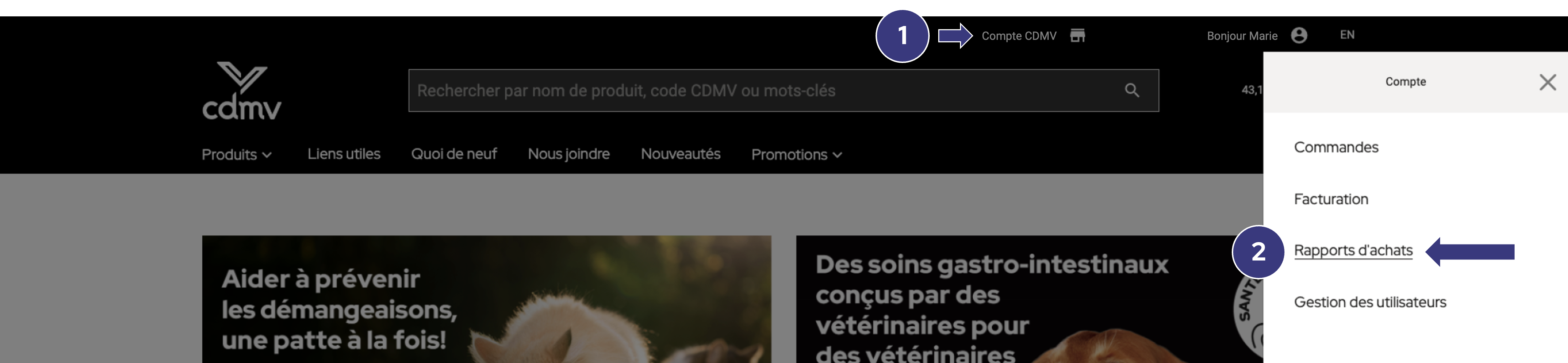 Accès rapports