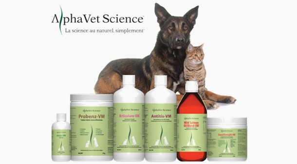 https://medias-cd.cdmv.com/media/doxnvty1/campus-card_image-alphavet_fr.jpg