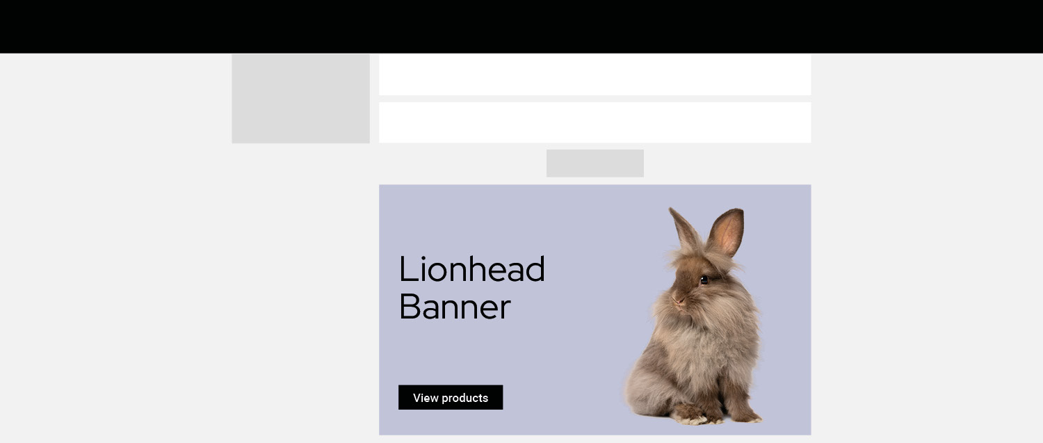 Bannière Lionhead bas  Page outil de recherche