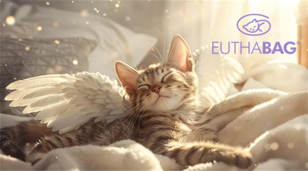 https://medias-cd.cdmv.com/media/gkpln4pa/campus-card_image-euthabag1.jpg
