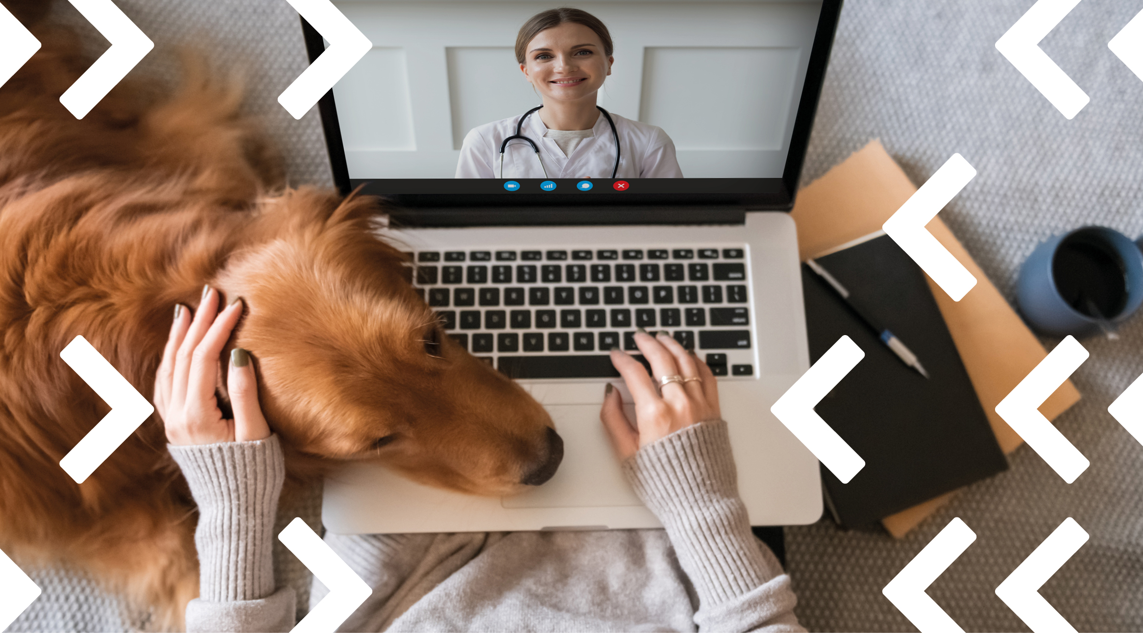 https://medias-cd.cdmv.com/media/gndnqfsz/consultation-virtuelle-3-conseils.jpg