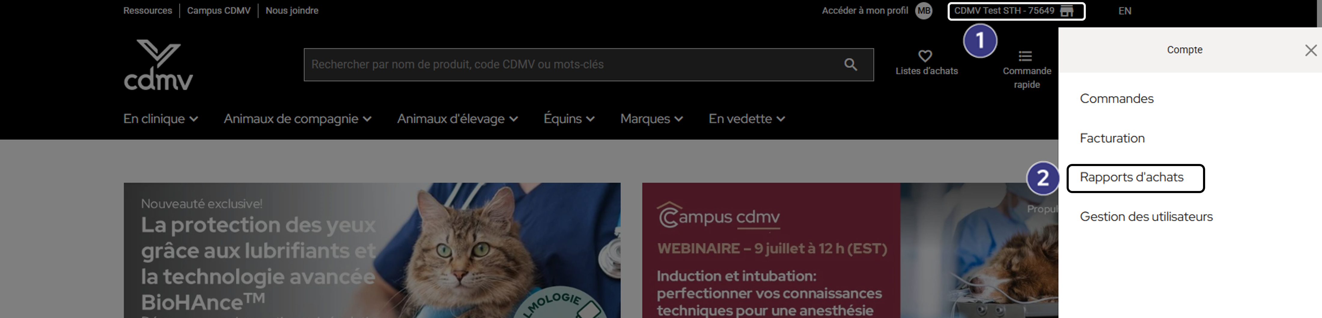 Accès rapports