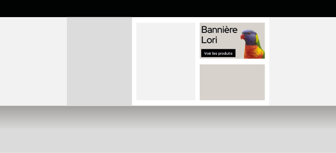 bannière lorie