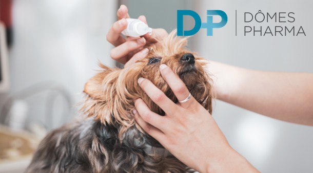 https://medias-cd.cdmv.com/media/jp3d3rlt/campus-card_dp.jpg