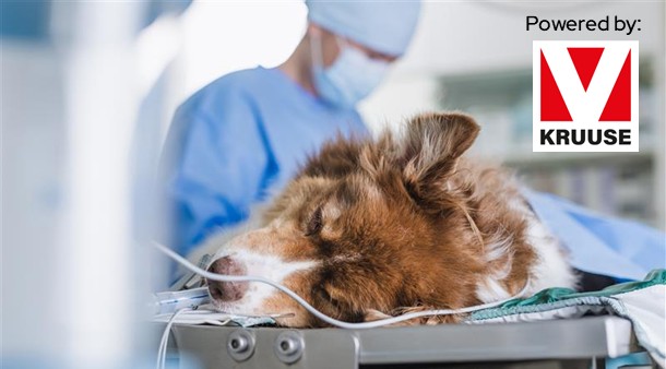 https://medias-cd.cdmv.com/media/lonnmbmz/campus-card_image-610x336px-webinaireanesthesie-en.jpg