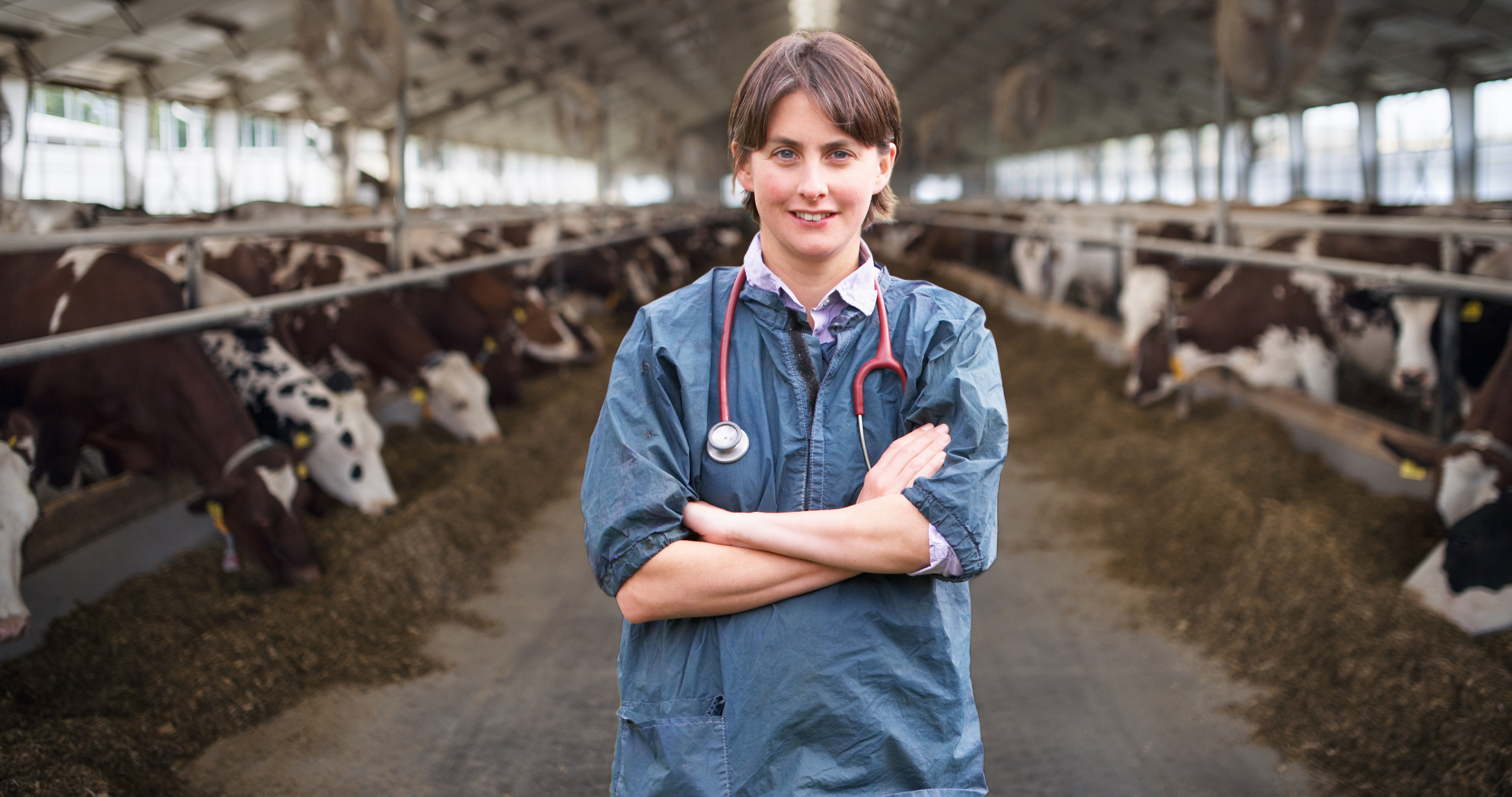 https://medias-cd.cdmv.com/media/nj3gemca/veterinaire-vache-2-adobestock_347793718.jpg