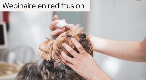 https://medias-cd.cdmv.com/media/ozypt1fn/card_webinaire-fr.jpg