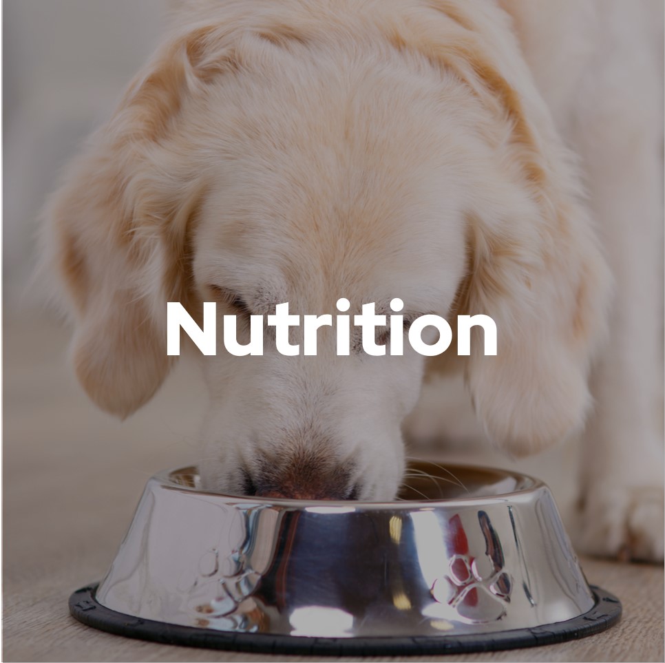 Nutrition