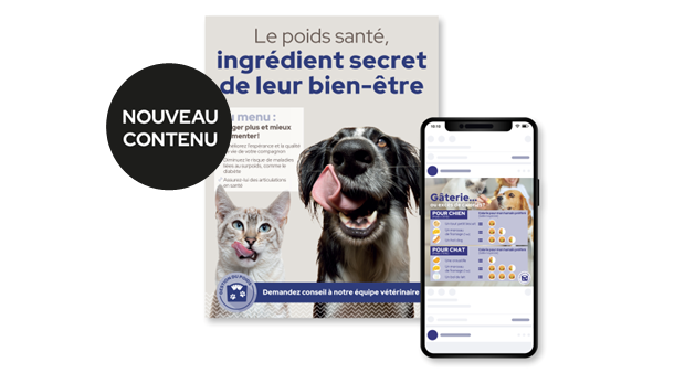 https://medias-cd.cdmv.com/media/xdrpmuv1/campus-card_image-outils-gestion-poids-fr.png