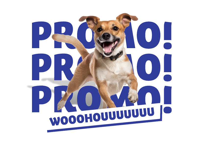 https://medias-cd.cdmv.com/media/yaiphw0o/image-promopromo.png