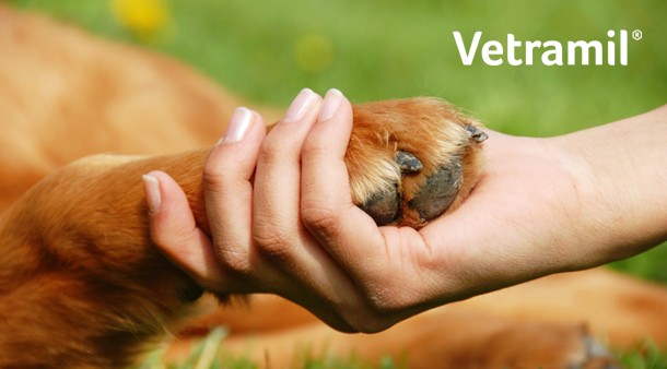 https://medias-cd.cdmv.com/media/yljouca1/campus-card_image-vetramil-info-produits.jpg