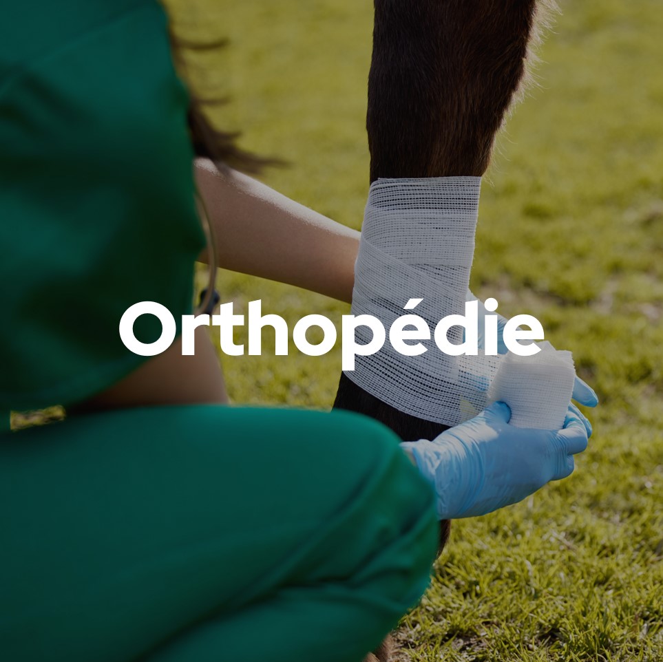 Orthopedie