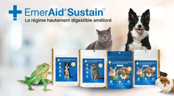 https://medias-cd.cdmv.com/media/z4xhlevk/campus-card_image-emeraid-fr.jpg