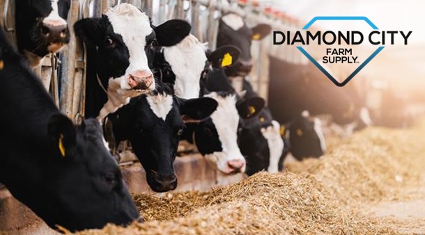 https://medias-cd.cdmv.com/media/zxgpeo0d/campus-card_diamondcityfarm.jpg